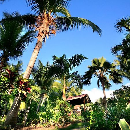 Hotel - Residence Habitation Grande Anse Deshaies Buitenkant foto