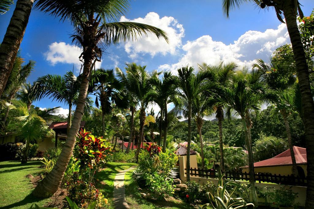 Hotel - Residence Habitation Grande Anse Deshaies Buitenkant foto